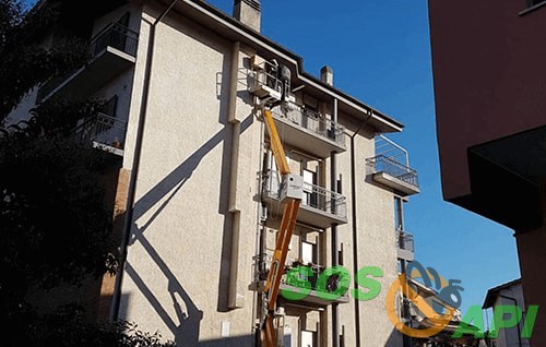 Rimozione-api-alveari-problema-sciami-Roma-Lazio